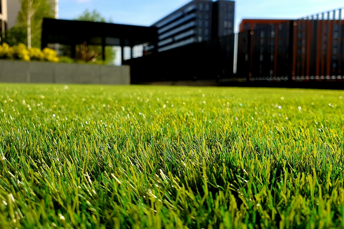 Freshly mowed manicured lawn